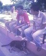moi et les ami